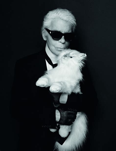 donatella versace karl lagerfeld|Karl Lagerfeld cat.